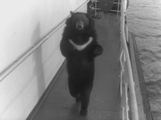 кадр из фильма Путь к причалу - 2