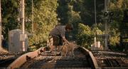 кадр из фильма Хатико: Самый верный друг (Hachiko: A Dog's Story) - 23