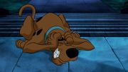 кадр из фильма Скуби-Ду! Маска голубого сокола (Scooby-Doo! Mask of the Blue Falcon) - 3