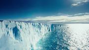 кадр из фильма Арктика 3D (To the Arctic 3D) - 8
