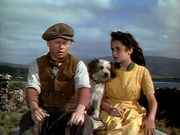 кадр из фильма Национальный бархат (National Velvet) - 2