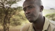 кадр из фильма BBC: Тайная жизнь слонов (BBC: The Secret Life of Elephants) - 9