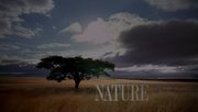 кадр из фильма Nature: Необычный документальный фильм про уток (An Original DUCKumentary) - 1
