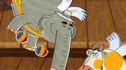 226016 thumb