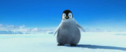 кадр из фильма Делай ноги (Happy Feet) - 9