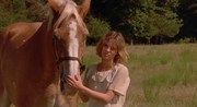 кадр из фильма Храбрых сердцем не сломить (Wild Hearts Can't Be Broken) - 1