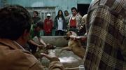 кадр из фильма Сука любовь (Amores perros) - 6