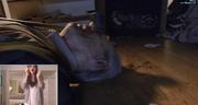 246407 thumb