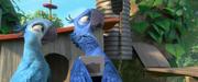 кадр из фильма Рио 2 (Rio 2) - 17