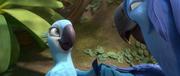 кадр из фильма Рио 2 (Rio 2) - 41