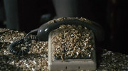 252535 thumb