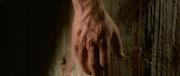 257179 thumb