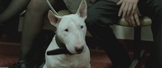 кадр из фильма Дэнни Цепной пес (Danny the Dog) - 21