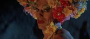 кадр из фильма Приключения Присциллы, королевы пустыни (The Adventures of Priscilla, Queen of the Desert) - 12