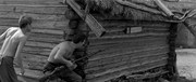 264507 thumb