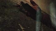 267667 thumb