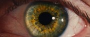кадр из фильма Я - начало (I Origins) - 11