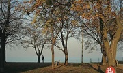 кадр из фильма В поисках Вивиан Майер (Finding Vivian Maier) - 4