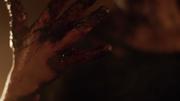 288254 thumb