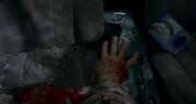 294633 thumb