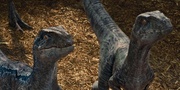 кадр из фильма Мир Юрского периода (Jurassic World) - 23