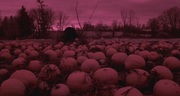 кадр из фильма Озорники (Hellions) - 7
