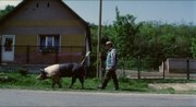 кадр из фильма Икота (Hukkle) - 3