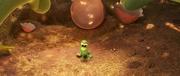 318611 thumb