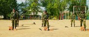 кадр из фильма День выборов 2 - 9