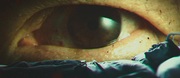 320804 thumb