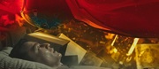 320805 thumb