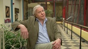 кадр из фильма Аттенборо. 60 лет с дикой природой (Attenborough: 60 Years in the Wild) - 4