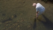 кадр из фильма Аттенборо. 60 лет с дикой природой (Attenborough: 60 Years in the Wild) - 7