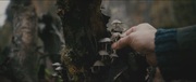 330766 thumb