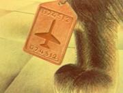 330959 thumb