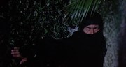 кадр из фильма Входит ниндзя (Enter the Ninja) - 3