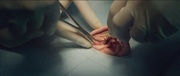 335234 thumb