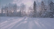 335901 thumb