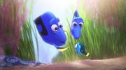кадр из фильма В поисках Дори (Finding Dory) - 1