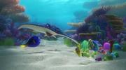 кадр из фильма В поисках Дори (Finding Dory) - 2