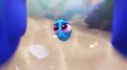 кадр из фильма В поисках Дори (Finding Dory) - 3