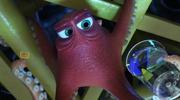 кадр из фильма В поисках Дори (Finding Dory) - 4