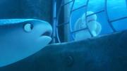 кадр из фильма В поисках Дори (Finding Dory) - 8