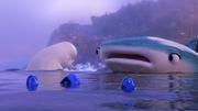 кадр из фильма В поисках Дори (Finding Dory) - 9
