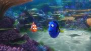 кадр из фильма В поисках Дори (Finding Dory) - 11