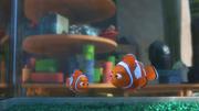 кадр из фильма В поисках Дори (Finding Dory) - 14