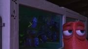 кадр из фильма В поисках Дори (Finding Dory) - 15