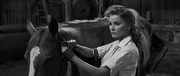 кадр из фильма Люби меня нежно (Love Me Tender) - 9