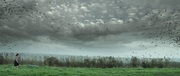 349200 thumb