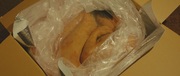 349341 thumb